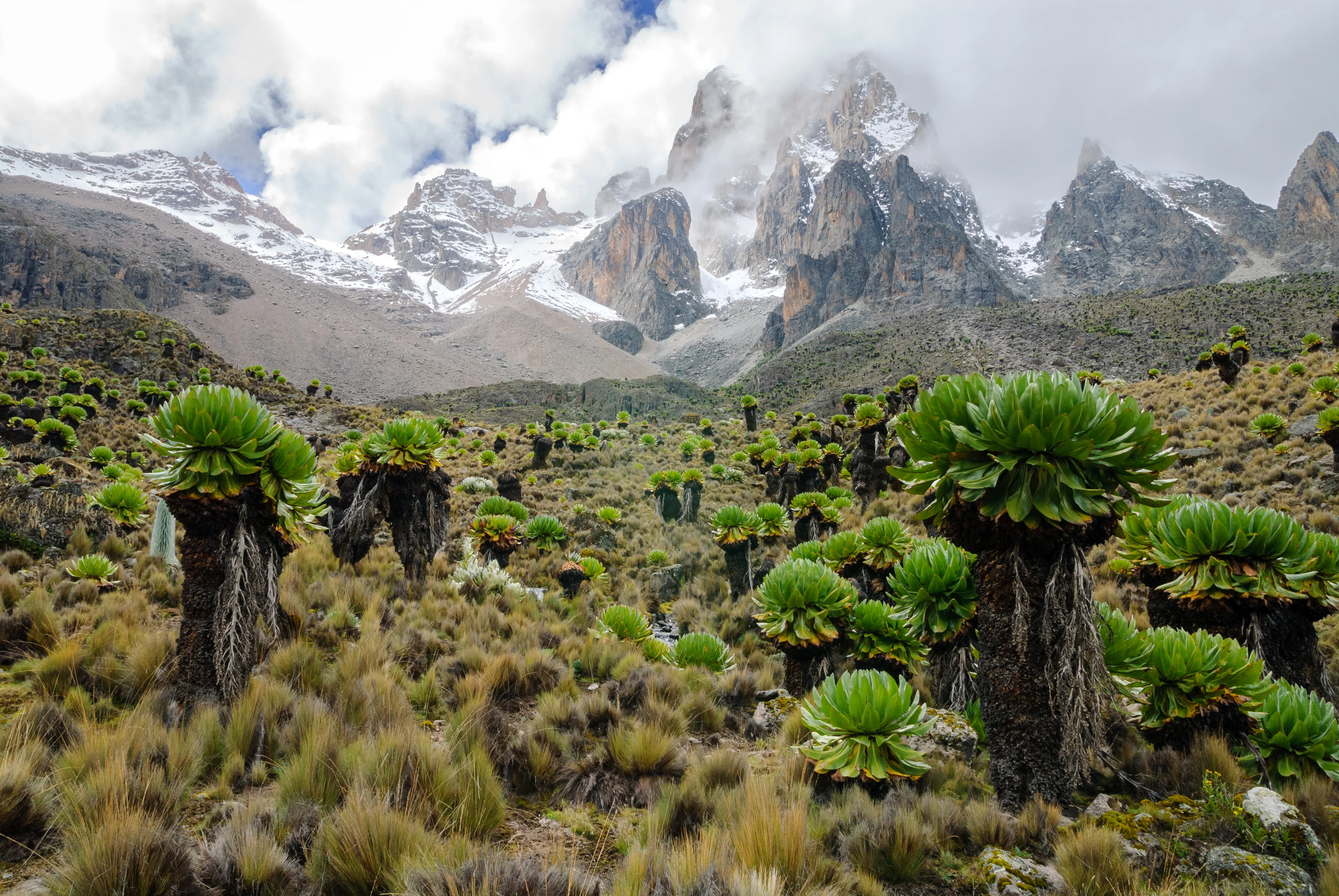 Mount Kenya’s Jagged Alpine Spires