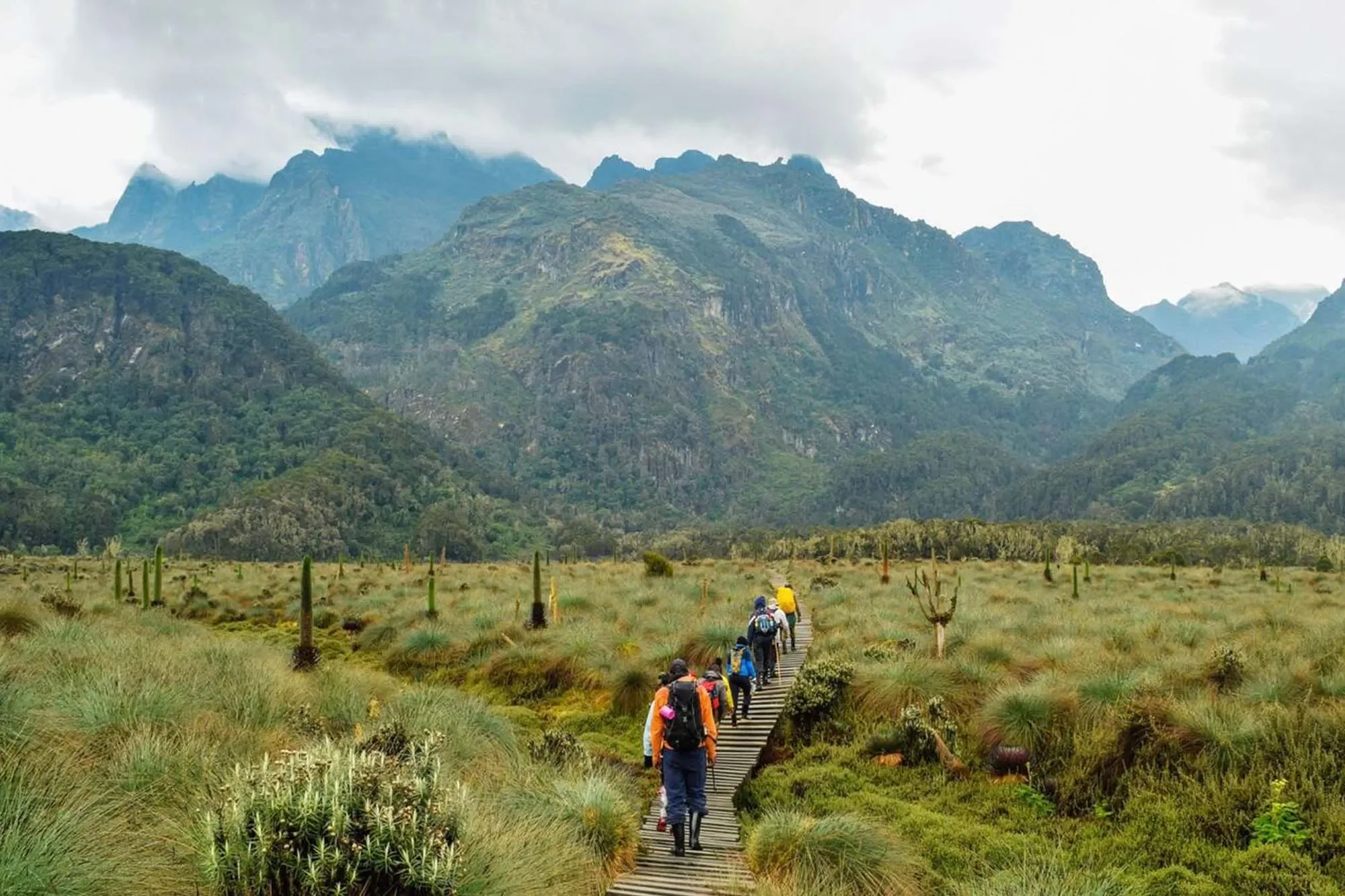 The Glacial Mystique of the Rwenzoris
