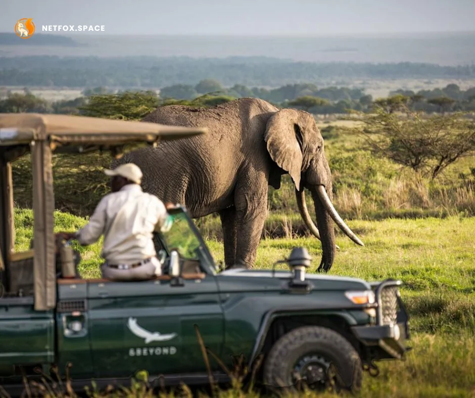 Balancing luxury amenities with authentic wilderness immersion