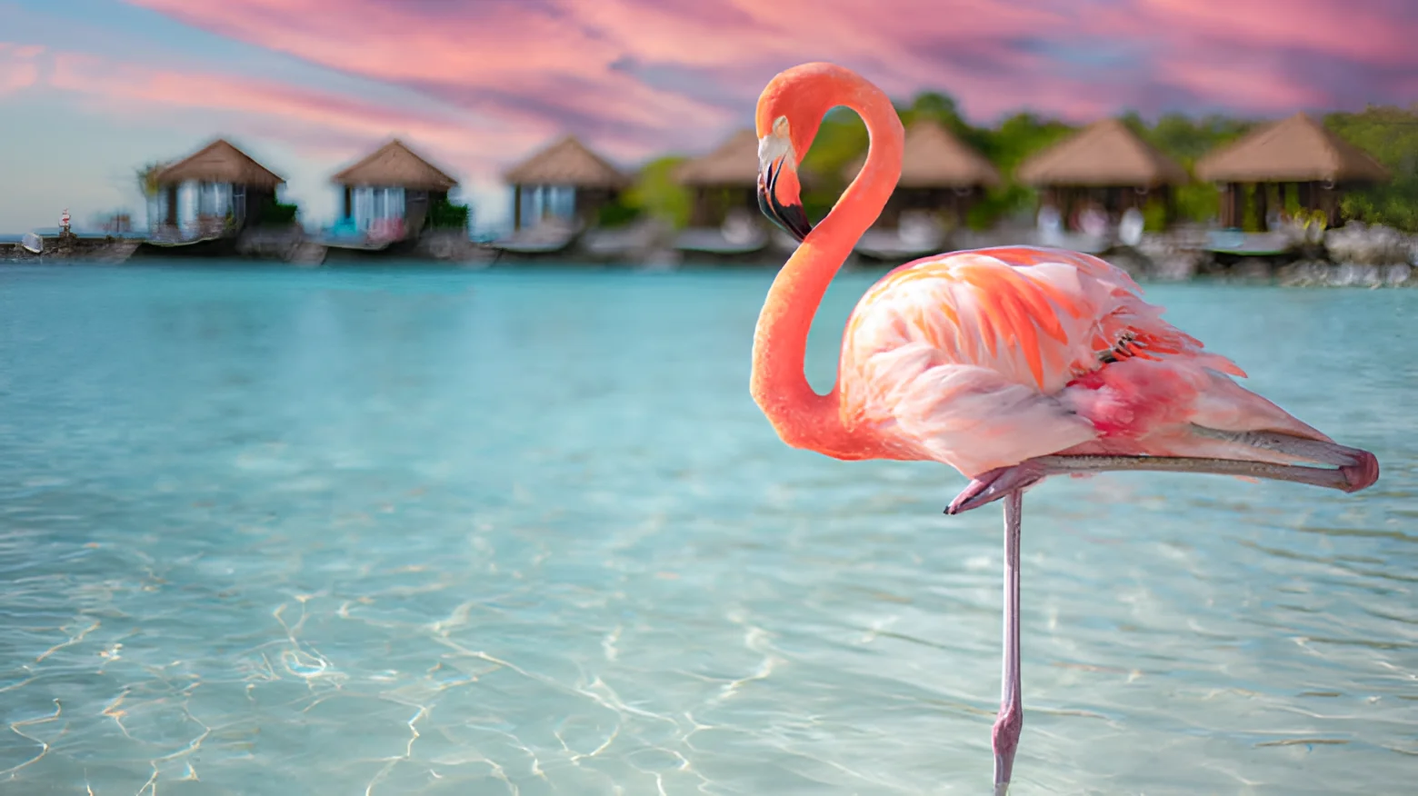 Aruba continues to dominate traveler wishlists due to its consistent sunny weather and friendly atmosphere.