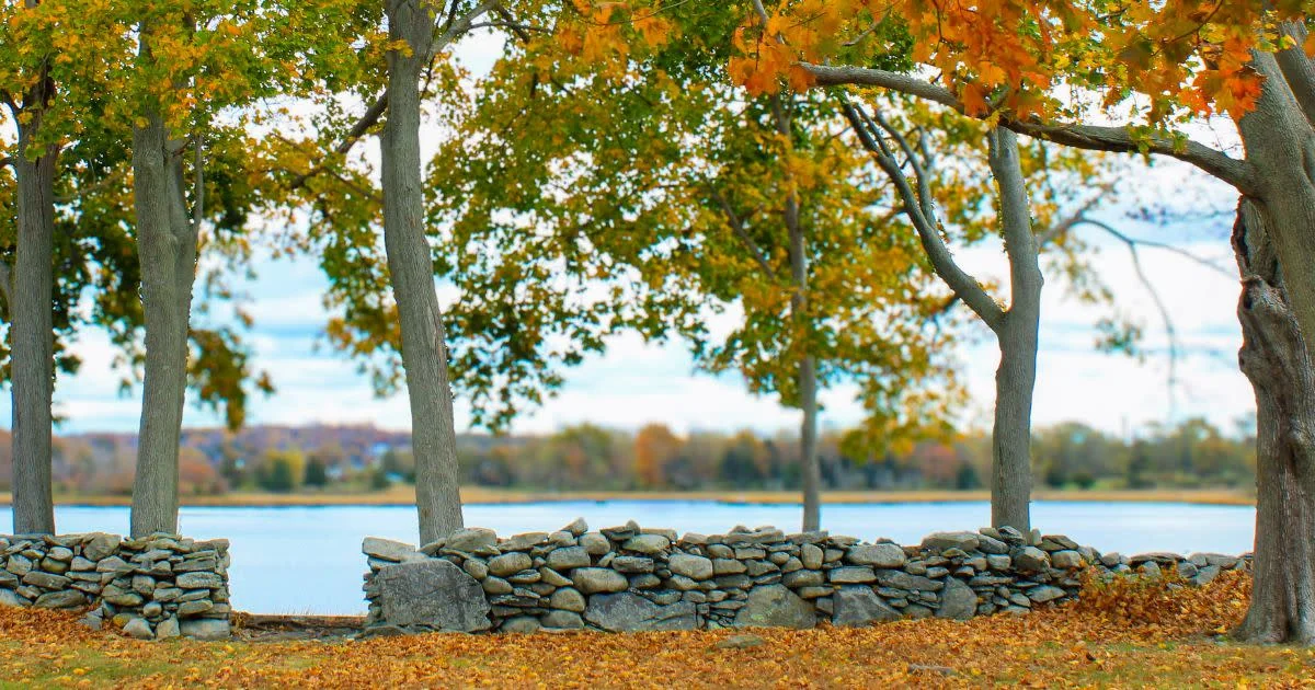 While traditionally viewed as a high-tax environment, the Rhode Island General Assembly has...