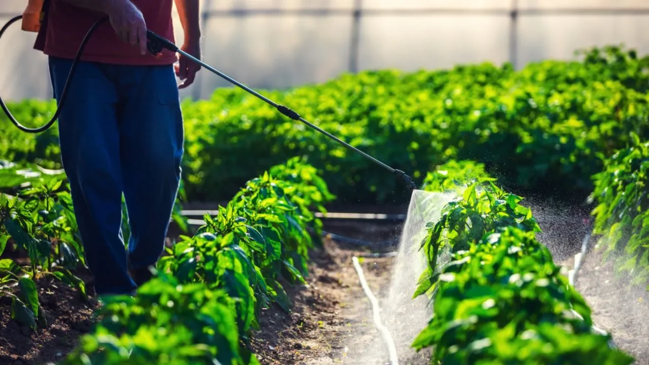 Global Supply Chain Exposure and Regulatory Divergence