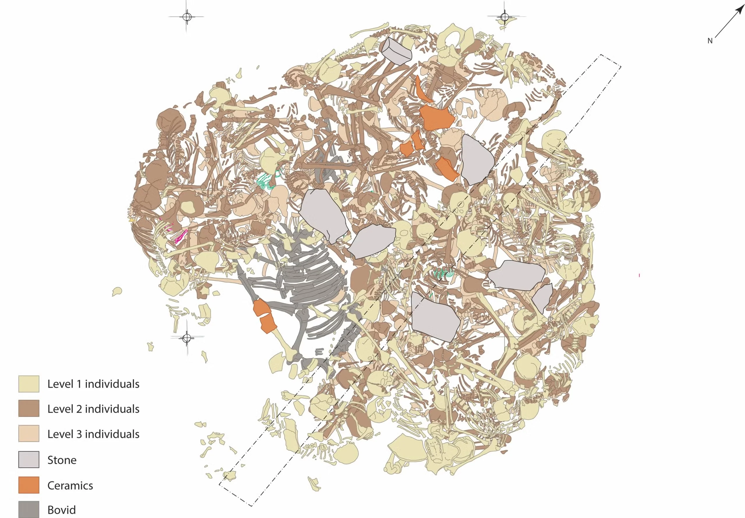 Burial plan of the human remains and finds from Gomolava mass burial 2. (CREDIT: Sara Nylund after Tasic 1972)