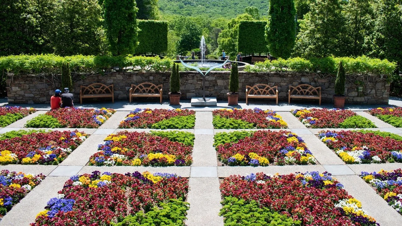 Asheville, North Carolina: A Floral Wonderland