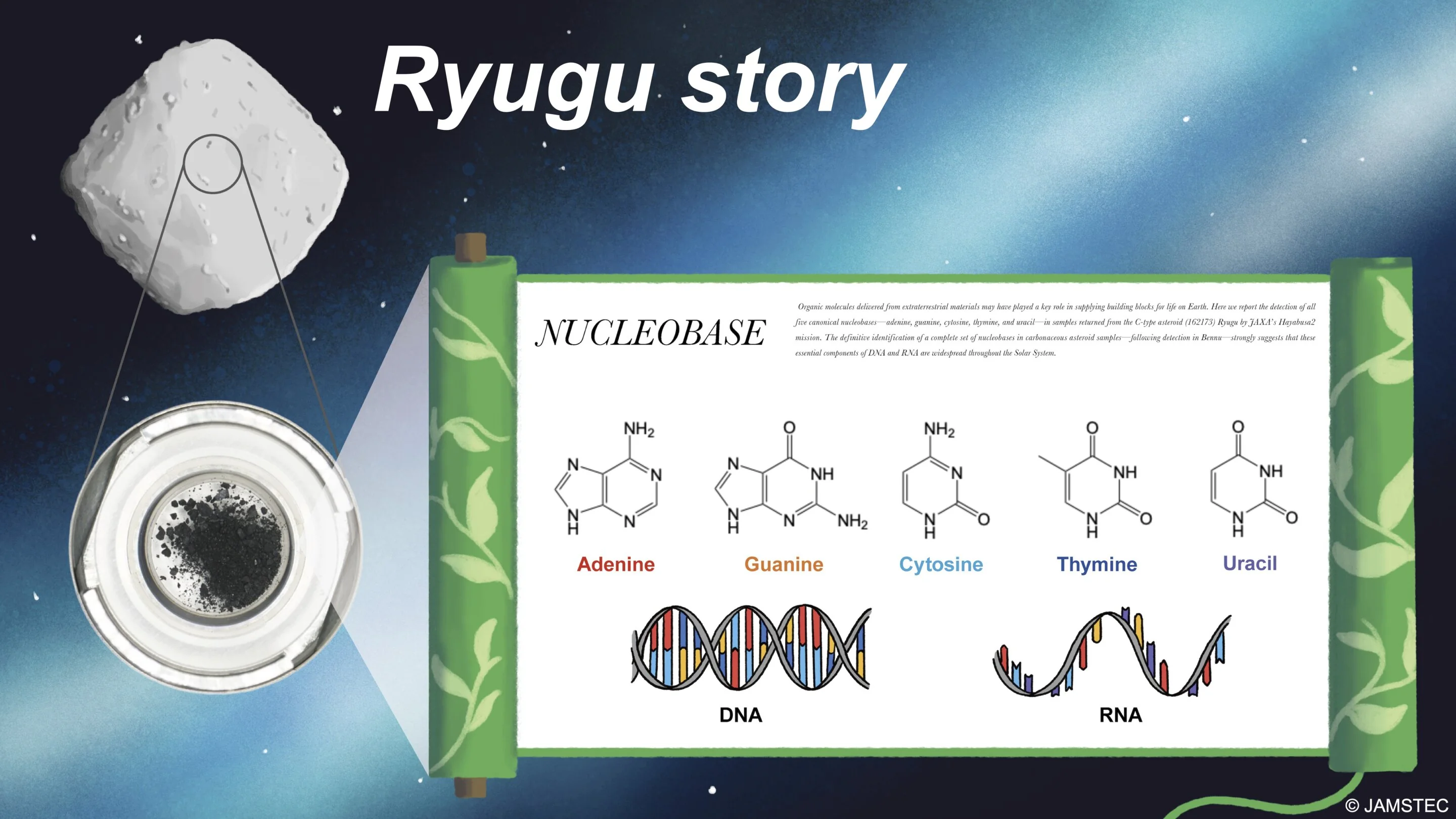 The “Ryugu Story” illustration depicting the detection of all five canonical nucleobases in samples returned from asteroid Ryugu by the Hayabusa2 mission. Credit: JAMSTEC