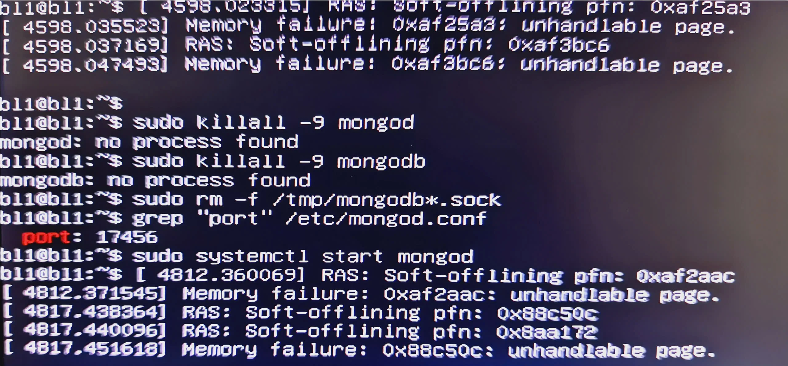 Close-up of a monitor displaying a Linux terminal. It shows kernel error messages regarding 'Memory failure' and 'RAS: Soft-offlining pfn'. Below the errors, commands like 'sudo killall -9 mongod' and 'sudo systemctl start mongod' are visible, indicating an attempt to restart a database service on port 17456.