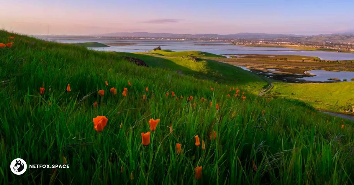 For the sixth consecutive year, Fremont, California, ranks as the happiest city in the U.S. according to WalletHub, cited for its economic stability and health.