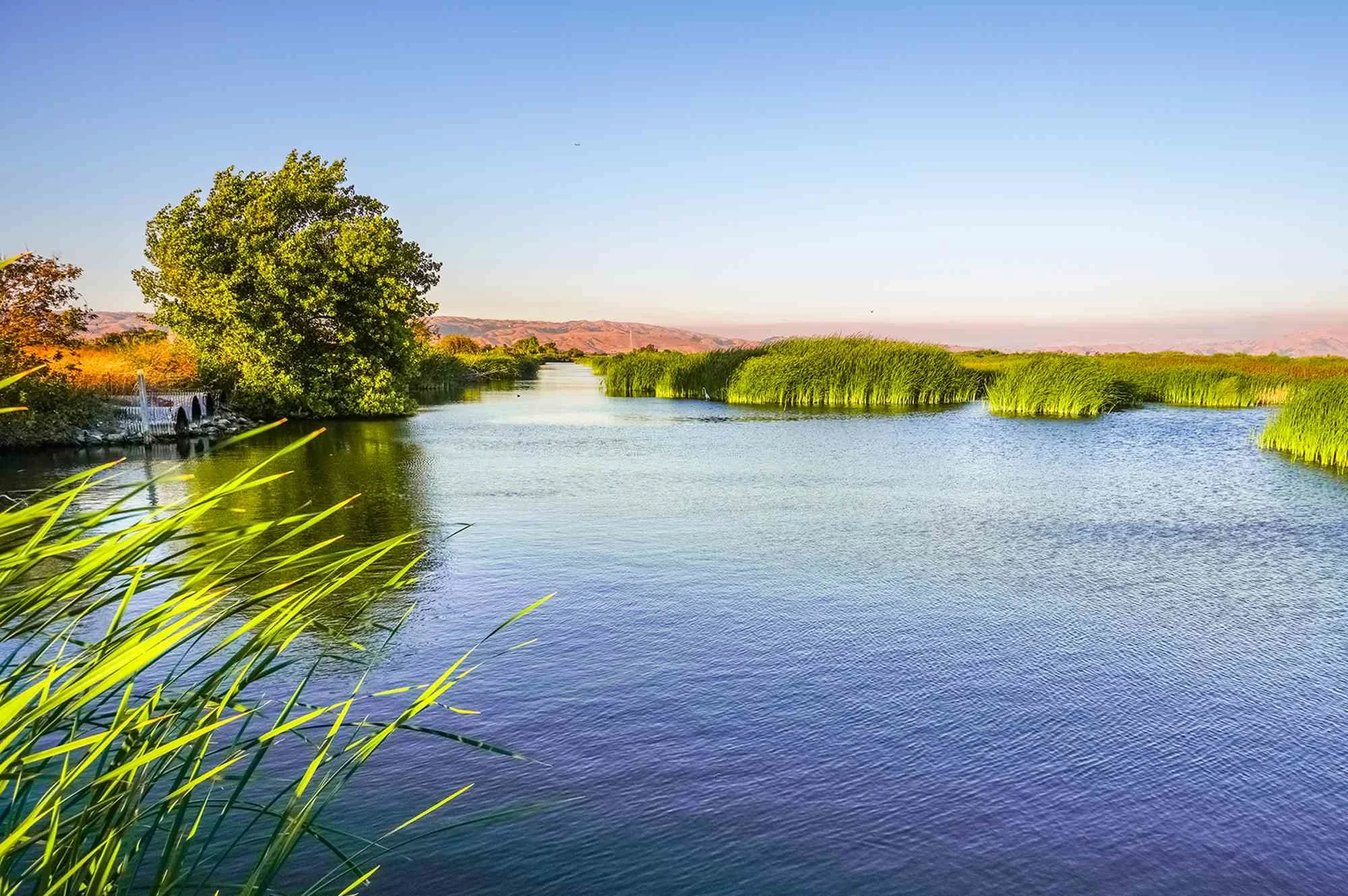 Sundry Photography/Getty Images  Ponds at sunset in Coyote Hills Regional Park in Fremont, California.