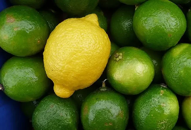 Lemons and limes contain a lot of vitamins and minerals.