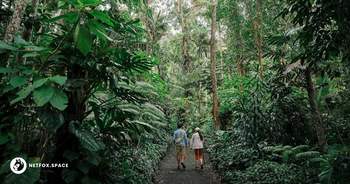 Hawaii Island is moving away from mass tourism toward a "pono" model. Learn how to navigate closures, support local business, and respect cultural sites.