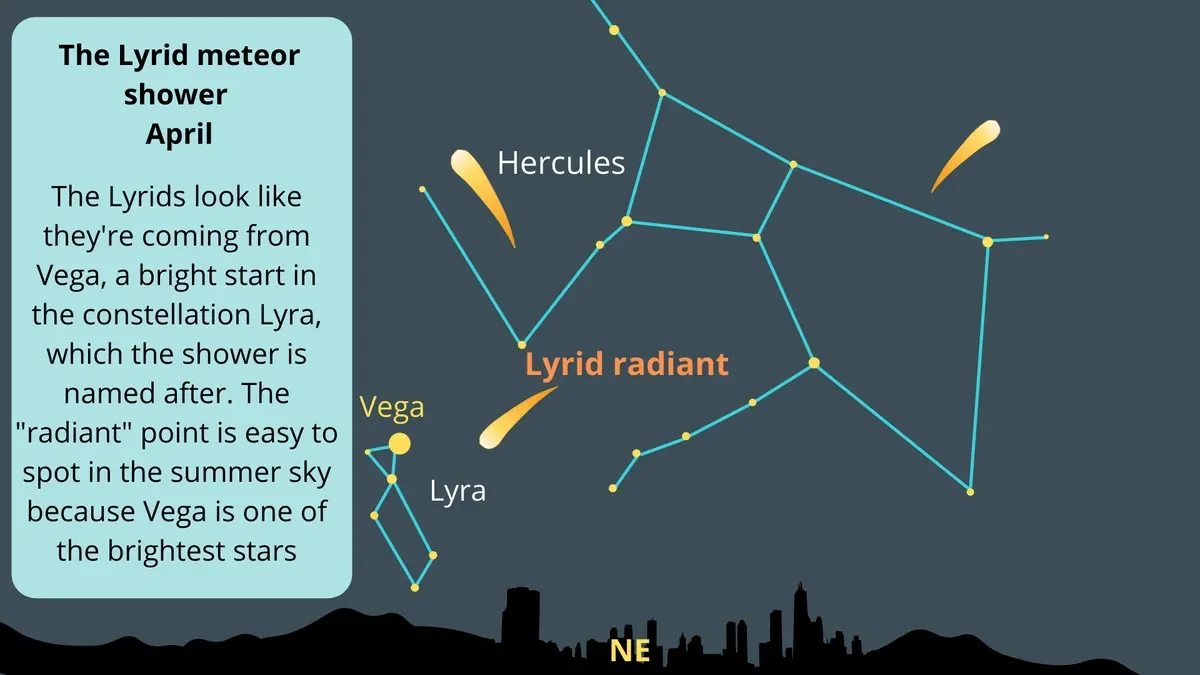 The radiant of the Lyrid meteor shower is located near the Hercules-Lyra border. (Image credit: Future)