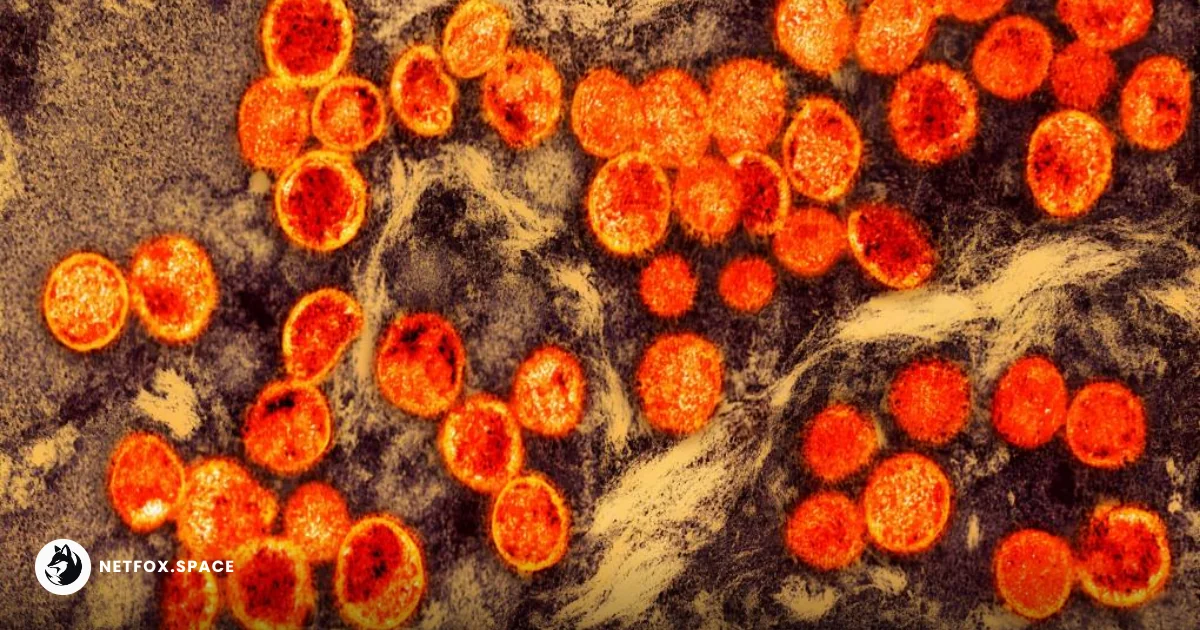 San Francisco health officials have confirmed the city's first case of Clade I mpox. Learn about the strain's severity, local risks, and how to access vaccines.