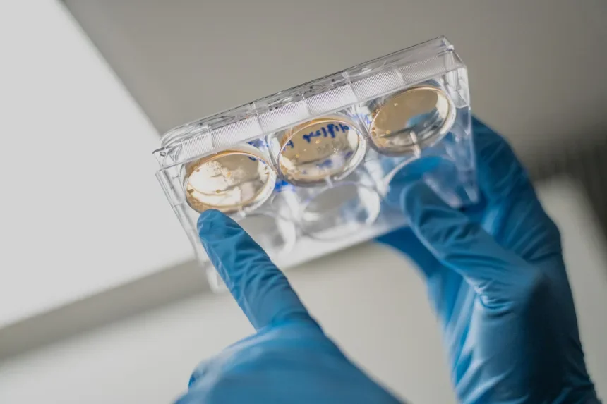 A researcher in Dr. Elias Sayour's lab examples a sample during testing. Jackie Hart/UF Health