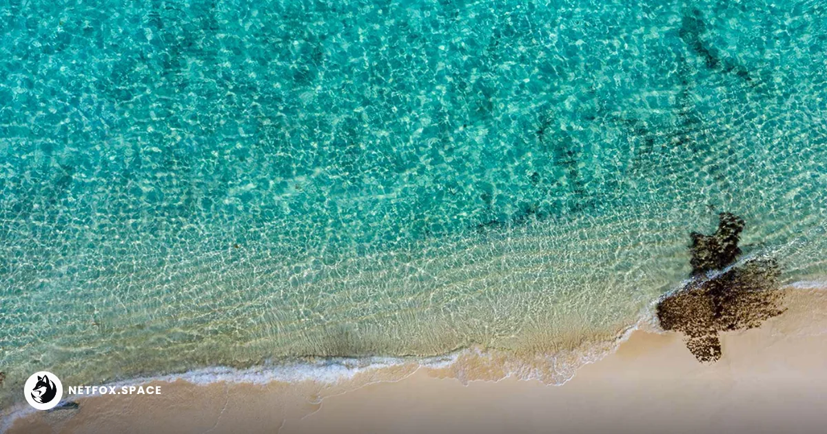MSC Cruises is transforming a former industrial site into Ocean Cay Marine Reserve, a private island destination featuring 64 square miles of protected waters.